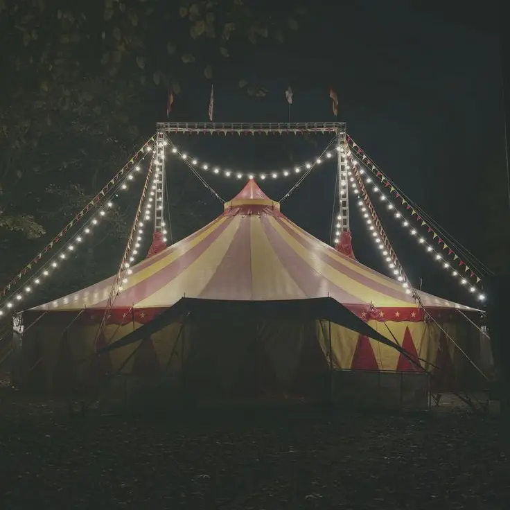 Ms.calico의 Circus star