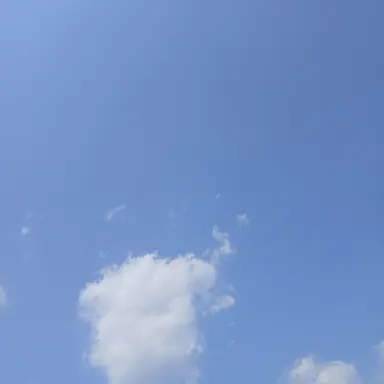 Profile image of 사장