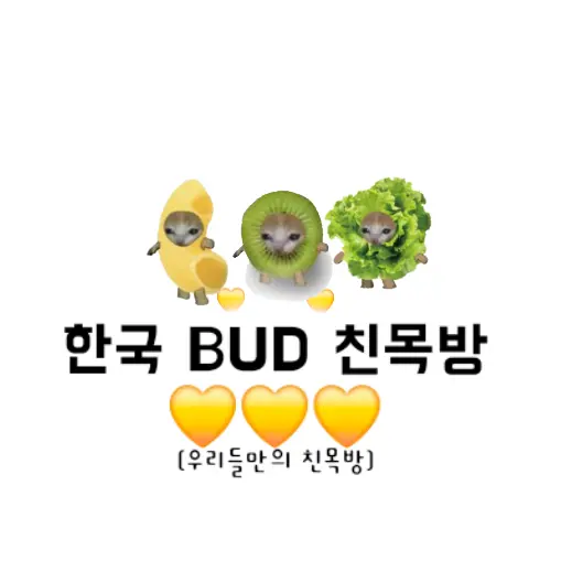 cute_Rulr1의 한국BUD대화방