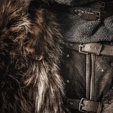 Profile image of Eddard stark