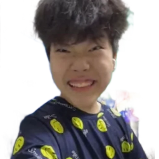 홍세종