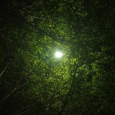 Profile image of 도준