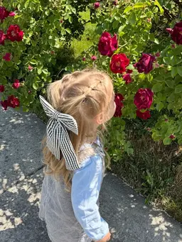 Profile image of Ashley