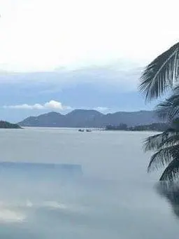 Crazy_XD의 남사친들이 저 때문에 싸워요..