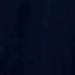 Profile image of 최립우