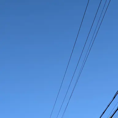 Profile image of アメリカ