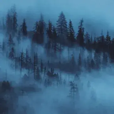 Profile image of The Cullens