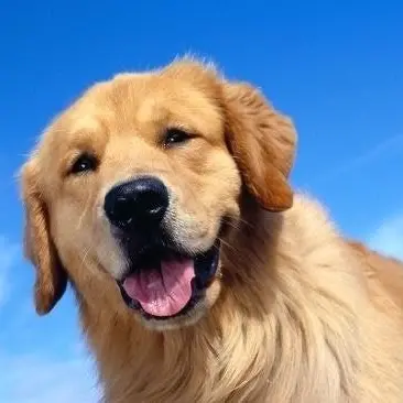 Profile image of 칠칠