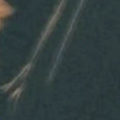 Profile image of 実弥