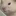 ㅇㅈㅁ