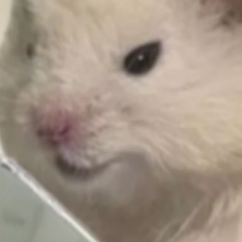 ㅇㅈㅁ