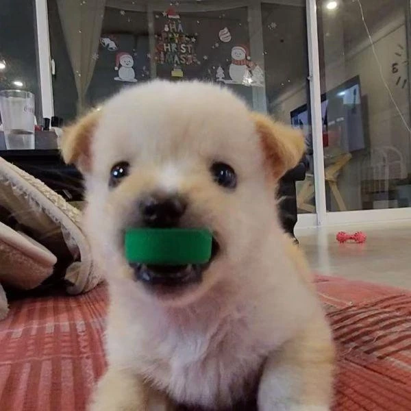 ㅁㅈㅎ