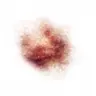 Profile image of 류현