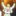 妹に激愛な兄