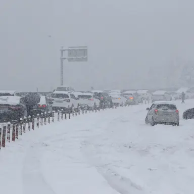 Profile image of 하카