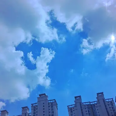 Profile image of 목격자