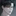 서지운