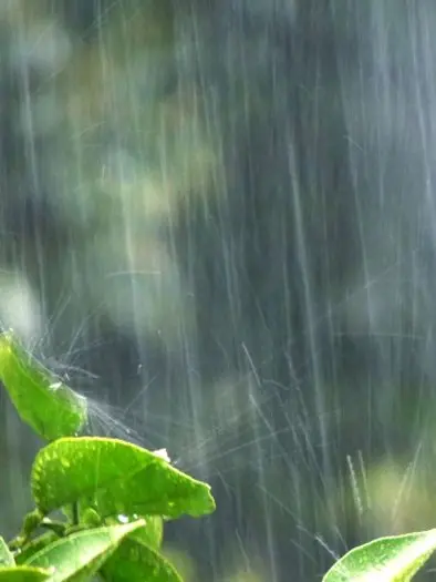LovingCloak1983의 雨は　かみさまの　涙なんだって。