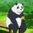 パンダ