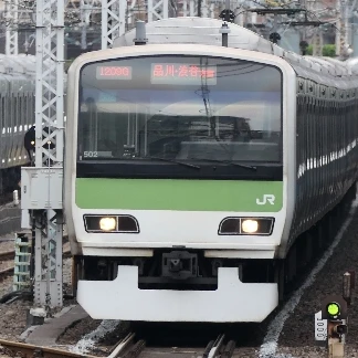 E231
