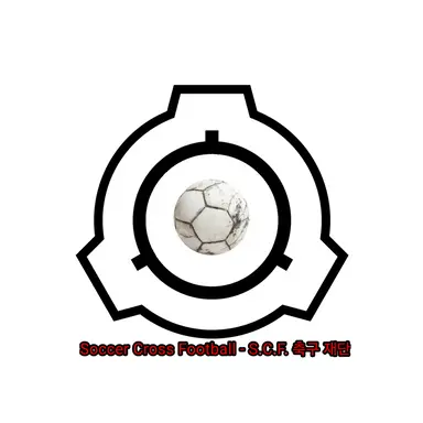 Profile image of SCF 축구 재단