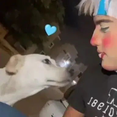 Profile image of Ethan