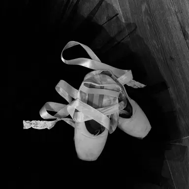 Profile image of 유 한