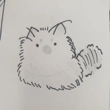 Profile image of 푸유