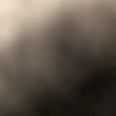 Profile image of ナムギュ