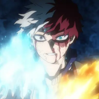 Profile image of Todoroki