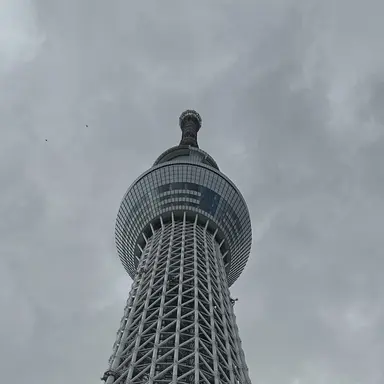 Profile image of スコット