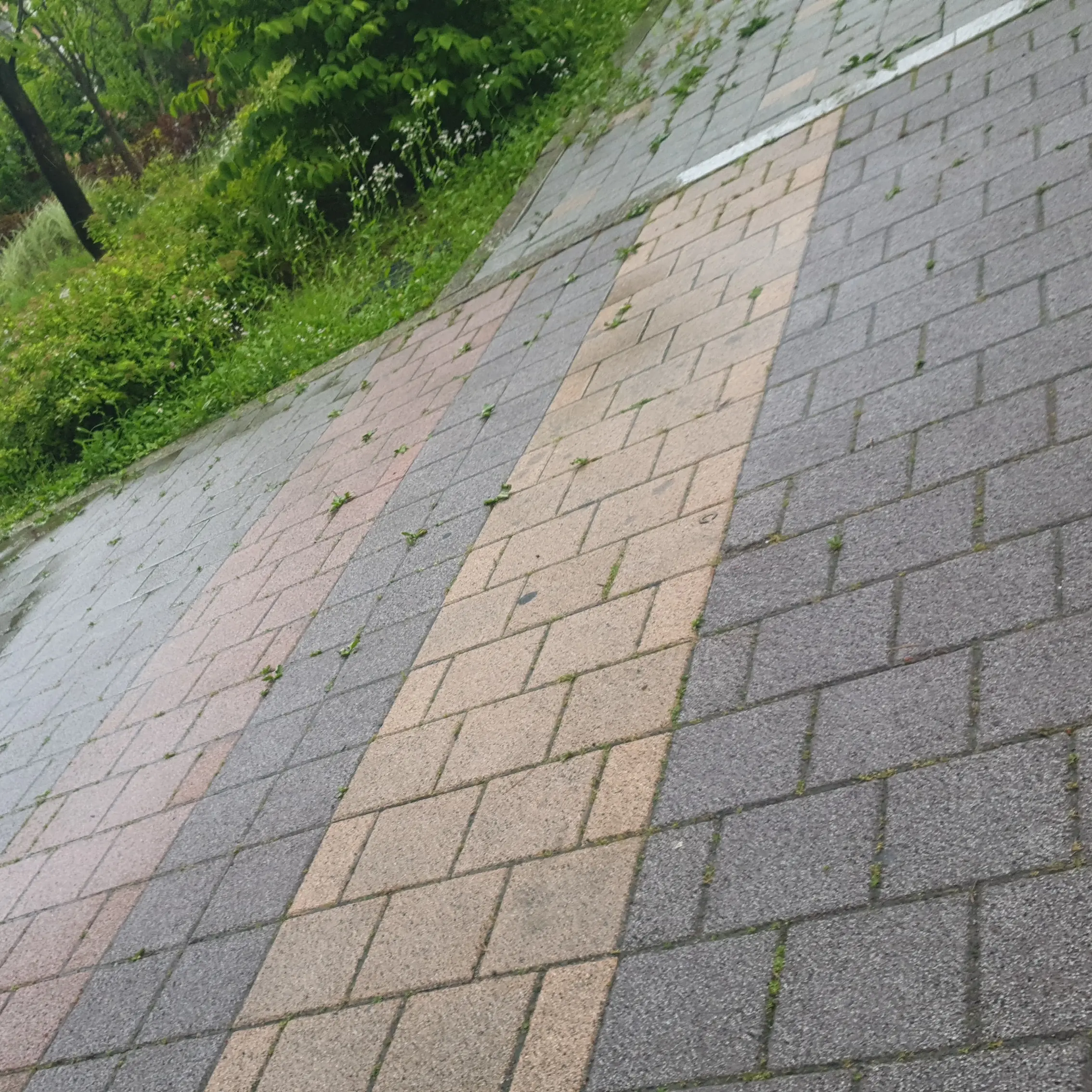 skrrLove의 기억을 잊은 팀나빠..