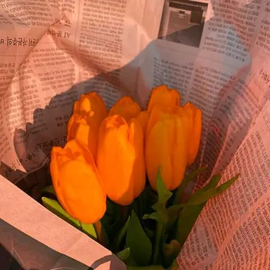 Profile image of 제미니