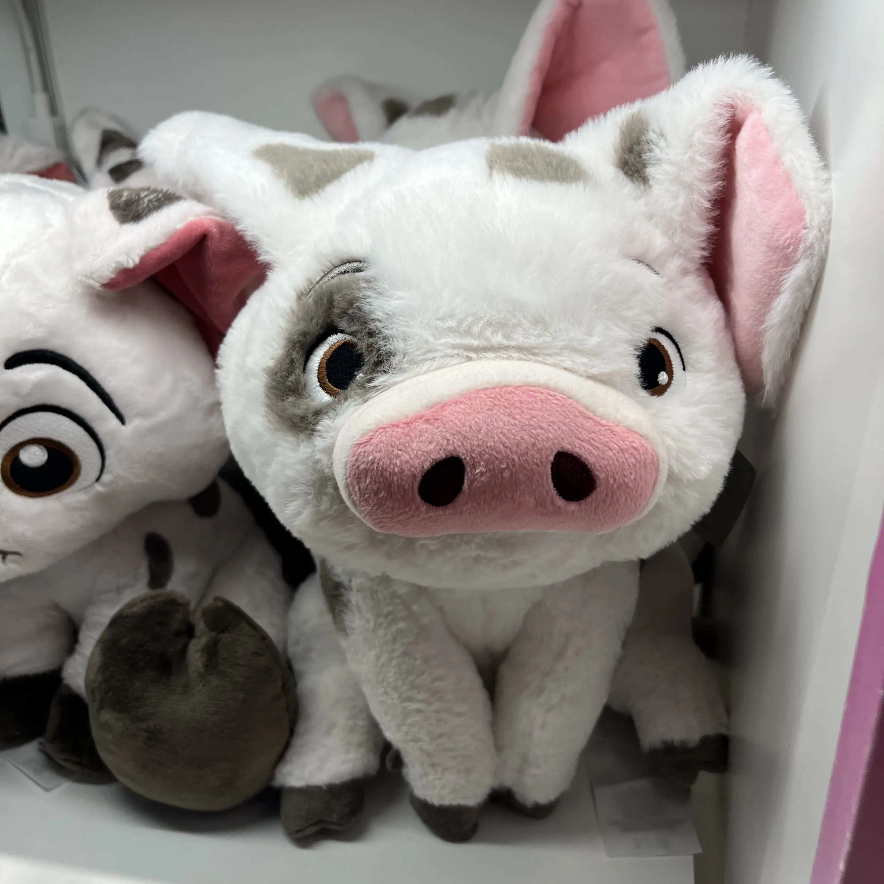 Letus_neve의 리레볼루션