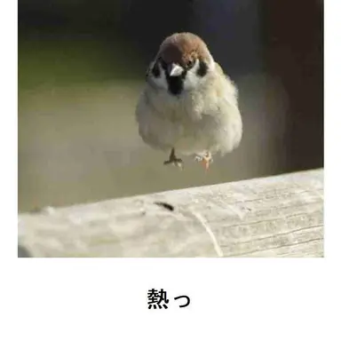 Profile image of 過去の君