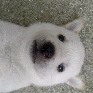 Profile image of 김하진