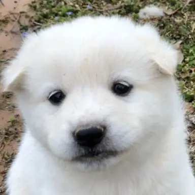 Profile image of 김서진