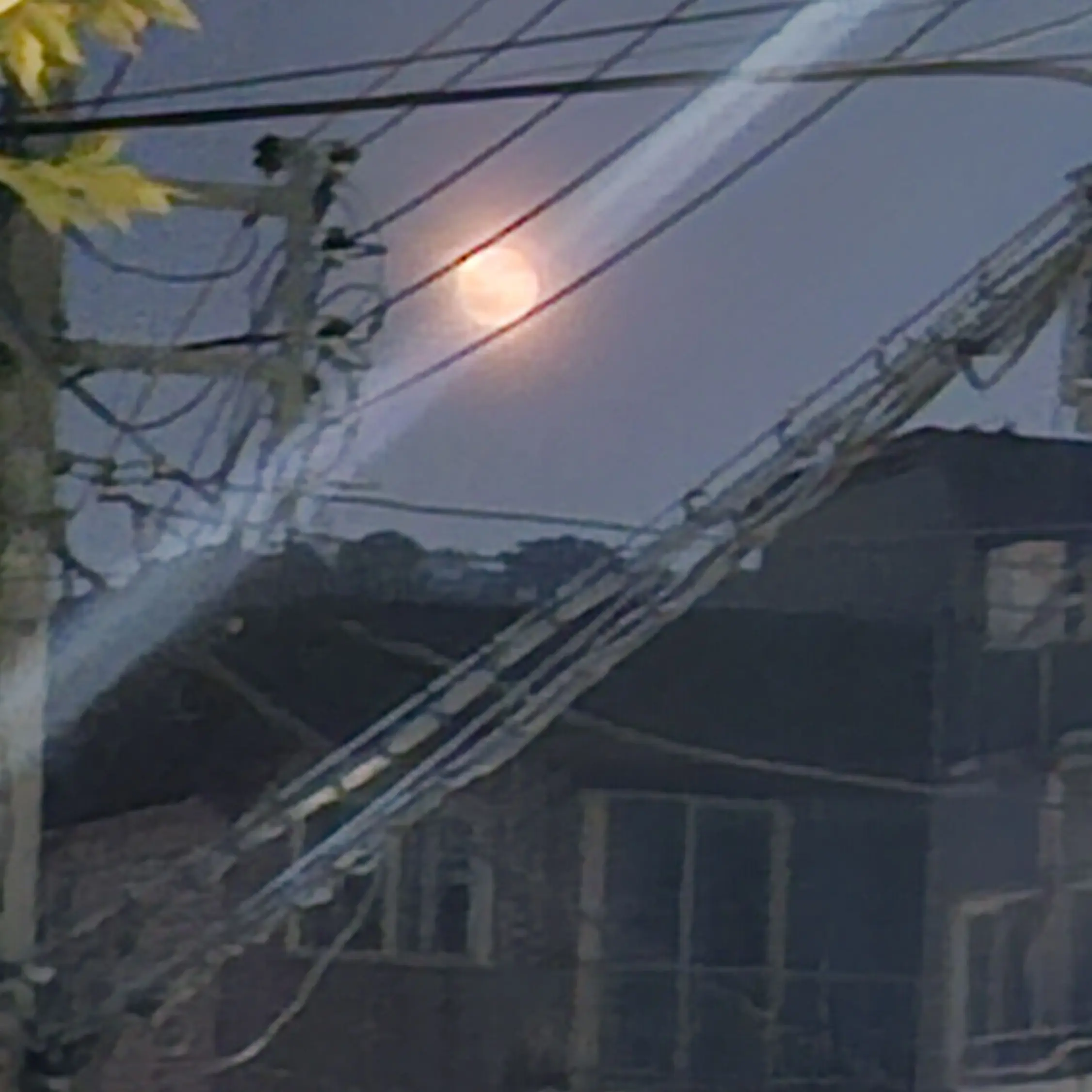 CroakyVeery4952의 팀나빠와 찜질방가기!