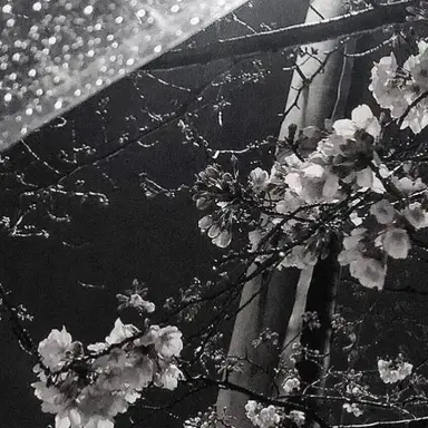 Profile image of 나화진