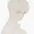 백 수 호
