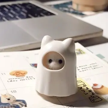 bambi0830의 김규빈