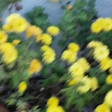 Profile image of 지훈