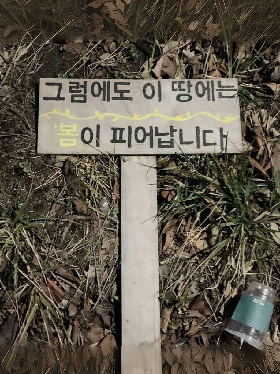 ㅤ 대표 이미지