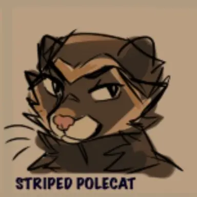 Profile image of Pactrica