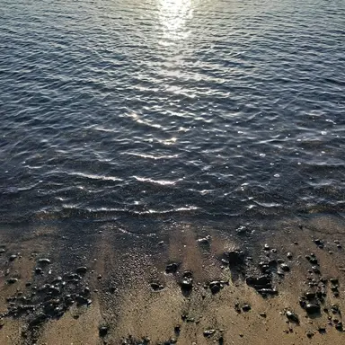 Profile image of 나카지마 아츠시