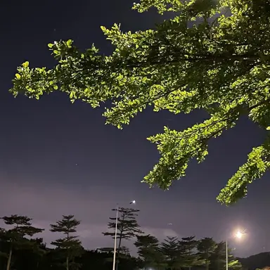 Profile image of 김윤호