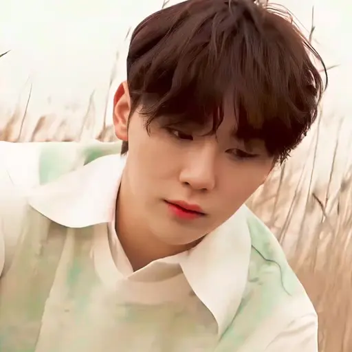 Hoshi_woozi_0116의 부승관