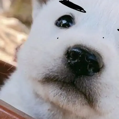 CleverStraw9107의 홍두식