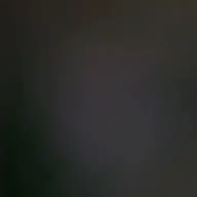 Profile image of 정윤호