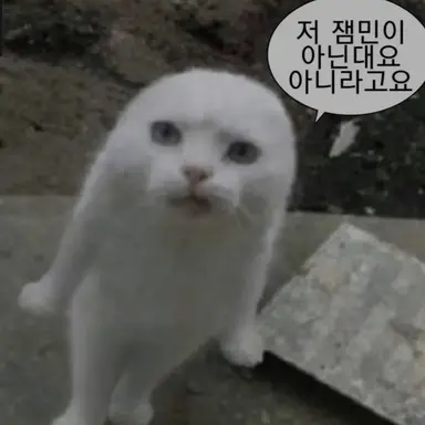 Profile image of 늑대